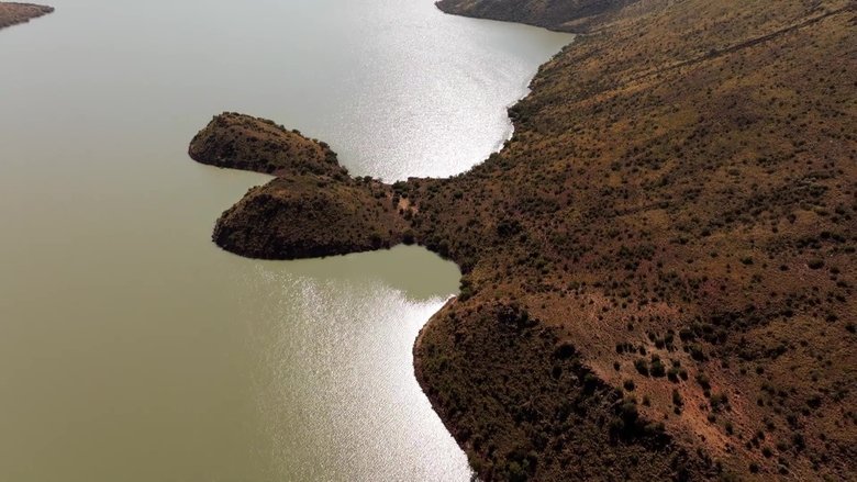 Meet the Participants: Africa