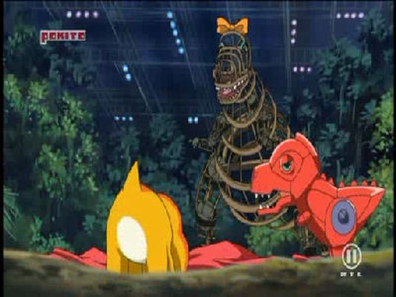 Lights, Camera, Destruction!