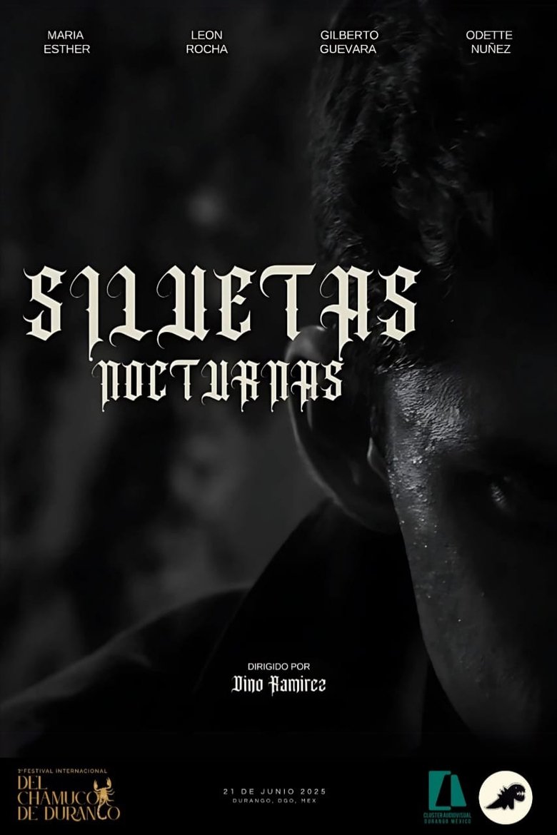 SILUETAS NOCTURNAS