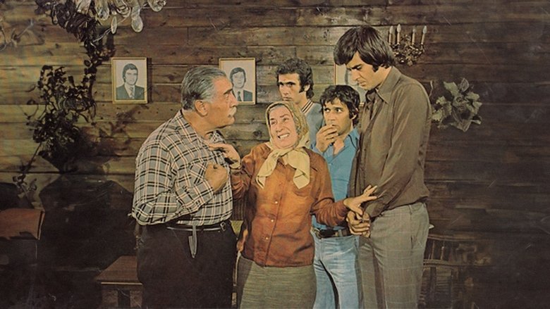 Mürüvvet Sim Caymaz