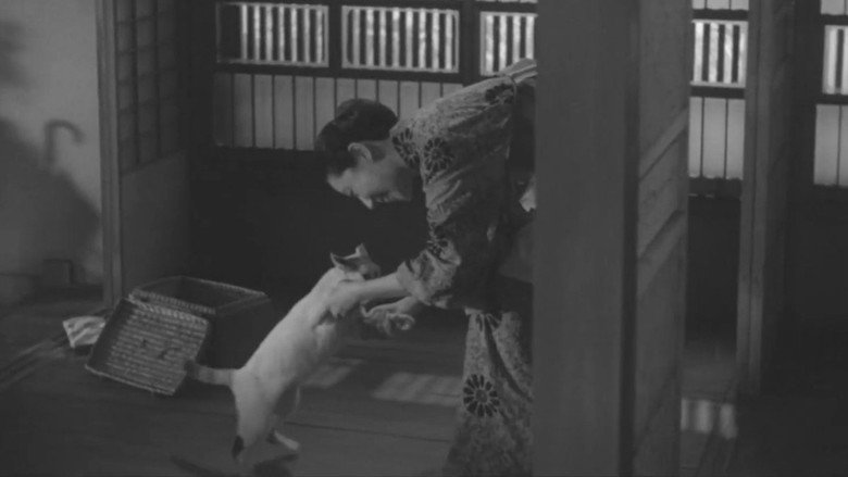 Shozo, a Cat and Two Women backdrop 2