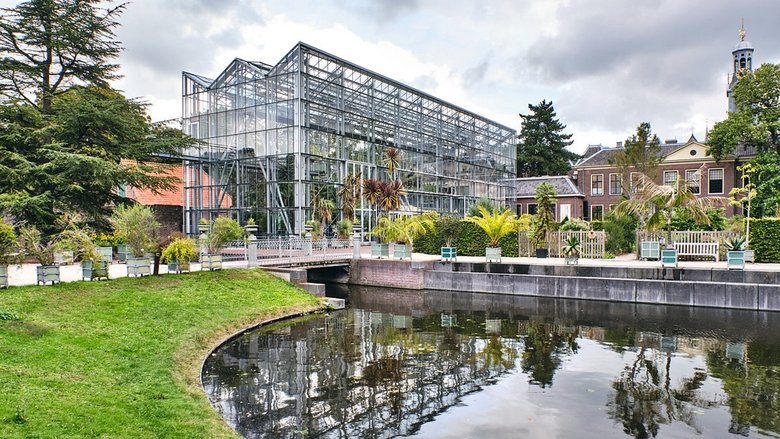 Hortus Botanicas in Leiden