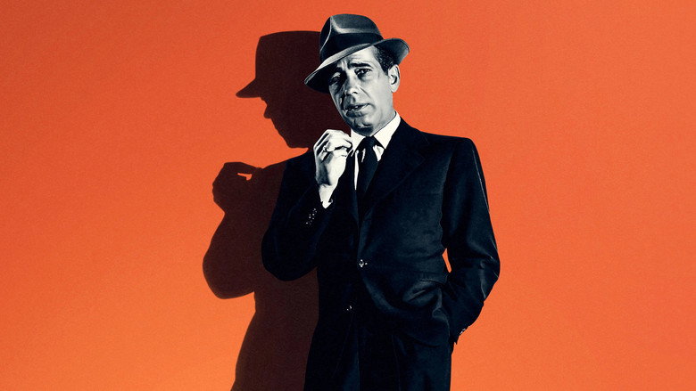 Bogart: Life Comes in Flashes backdrop 4