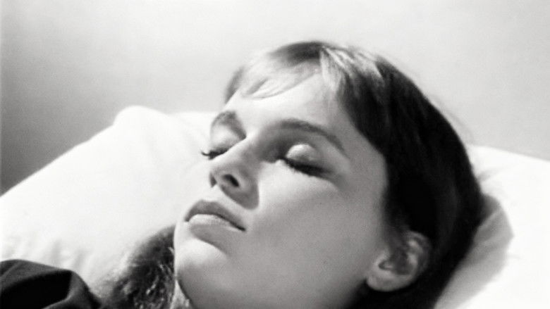 Episode #2.31 (pp-145)