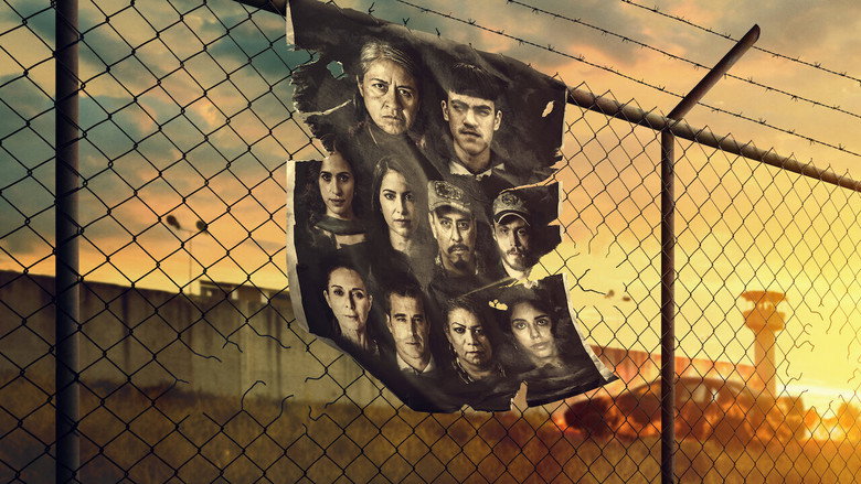 Somos. backdrop 2