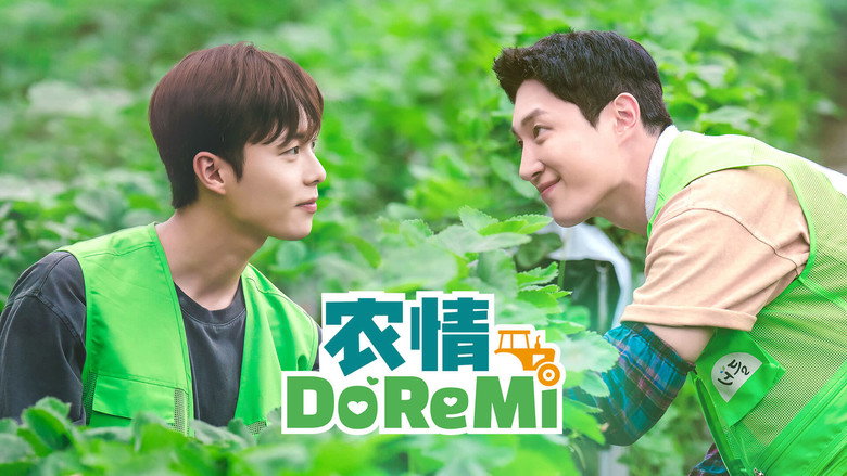 Love Tractor backdrop 9