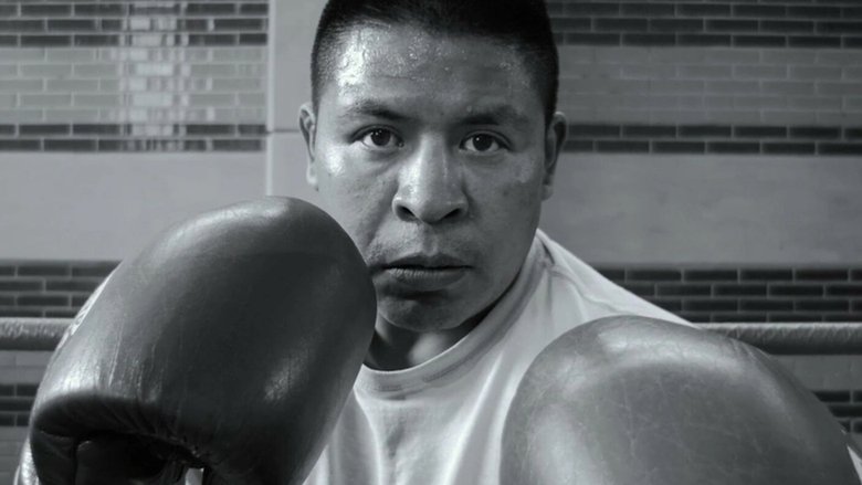 Luis Montalvo
