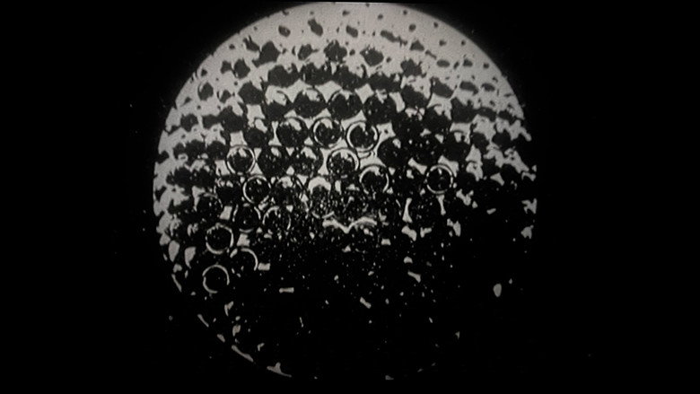 Object Z backdrop 2
