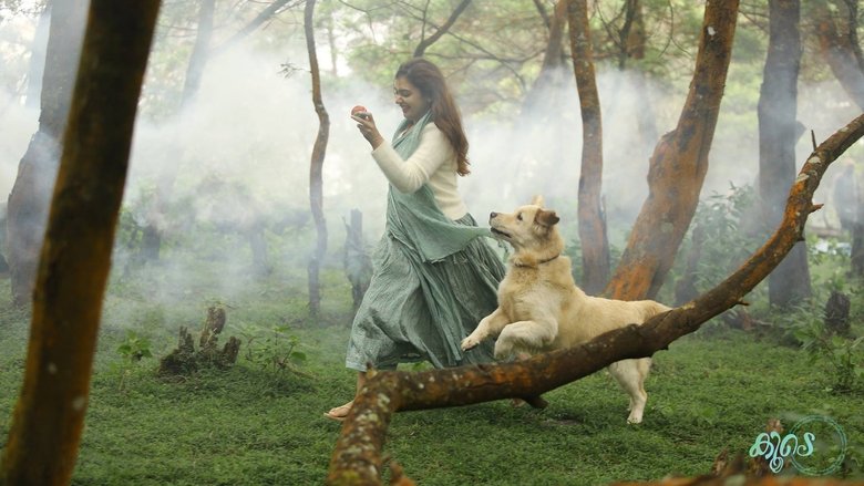 കൂടെ線上电影看完整版
