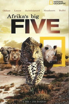 Africa's Big Five