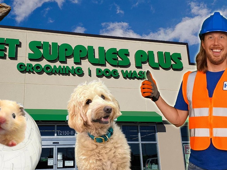 Explore a Pet Shop | Handyman Hal works at Pet Supply Plus | Learn about animals