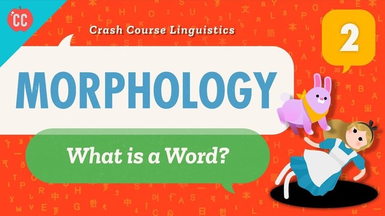Morphology
