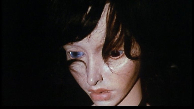 Film sur Hans Bellmer backdrop 2