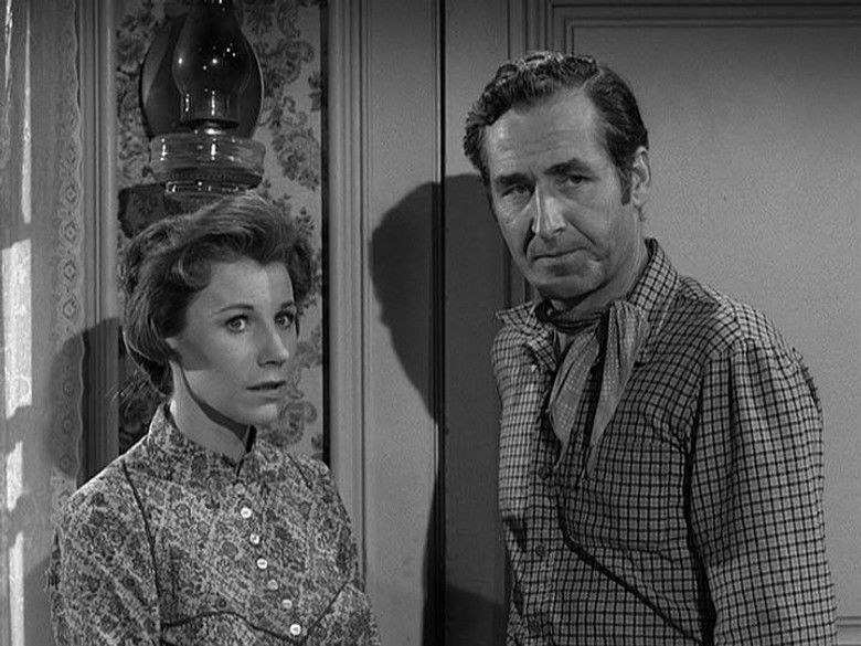 Incident of the Dust Flower