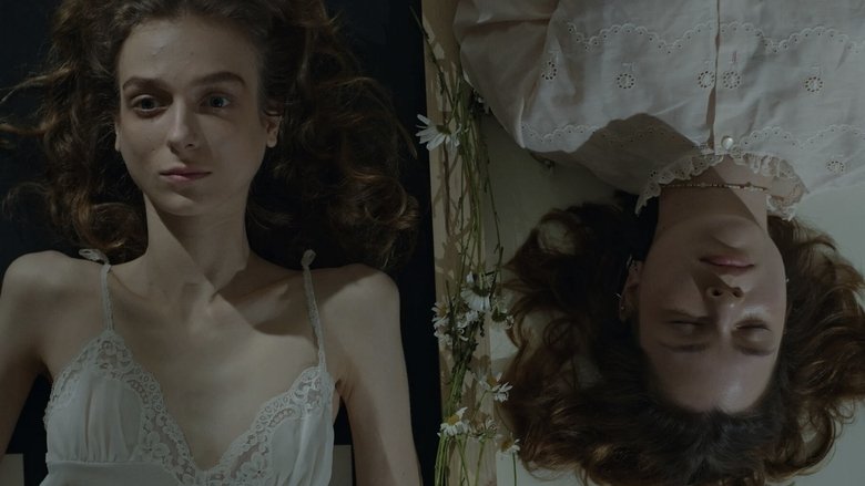 Shrimp, Switch, Cigarette Butt & a Little Bottle