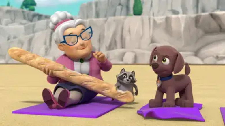 Pups Save the Wacky Water Skiers