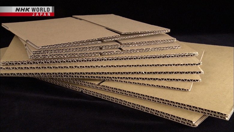 Cardboard
