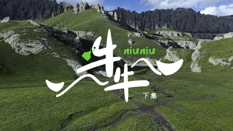 Niuniu the Yak (2)