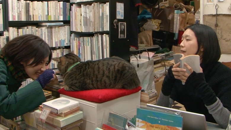 I’m a Cat Stalker backdrop 5