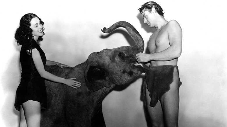 Tarzan Finds a Son! backdrop 5
