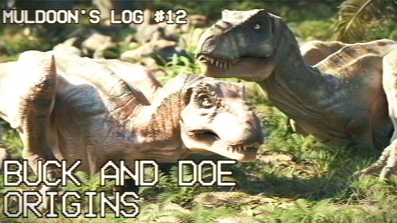 Buck and Doe Origins