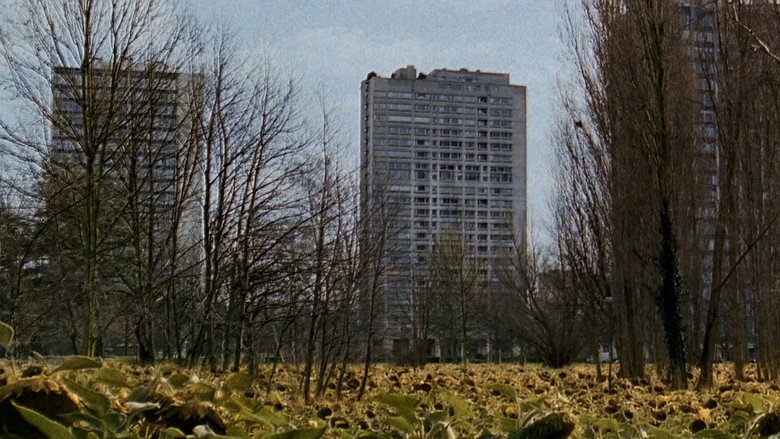 Left Bank backdrop 5