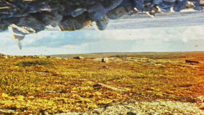 Tuktuit: Caribou backdrop 3
