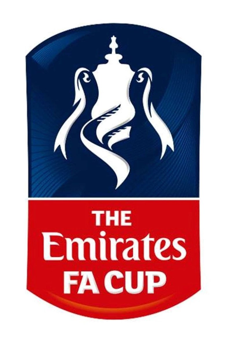 The Emirates FA Cup 2024/25