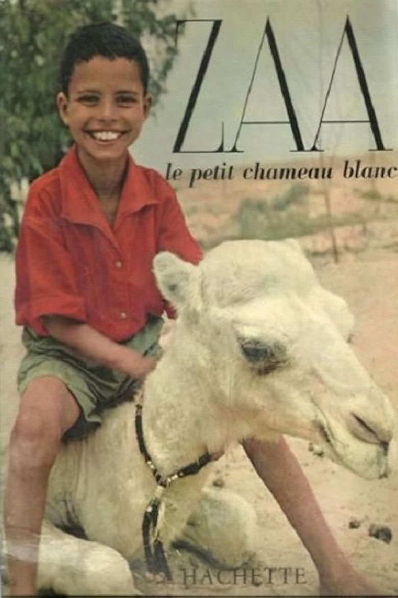 Zaa, the Little White Camel