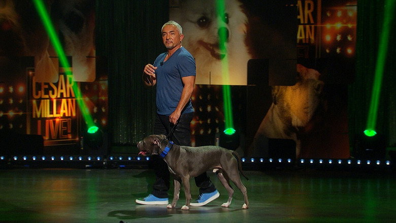 Cesar Millan: Viva Las Vegas! backdrop 4