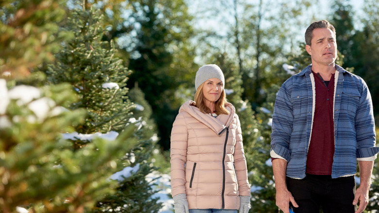Homegrown Christmas backdrop 5