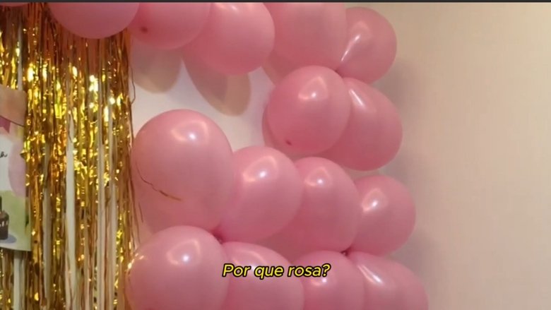 Meu primeiro aniversário