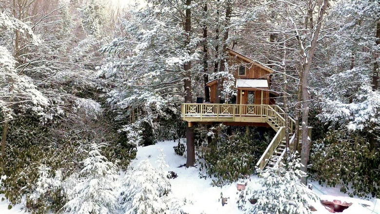 Ultimate Giveaway - Treehouse Special