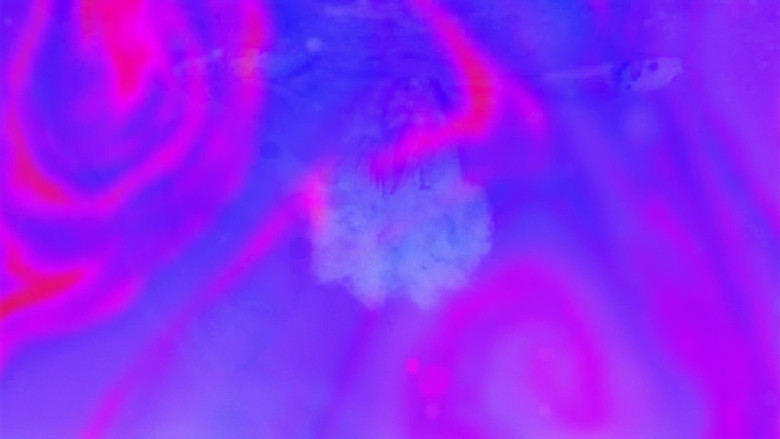 Resonga la Marea backdrop 1