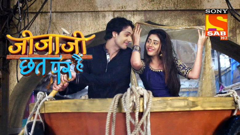 Raining Cats and Dogs