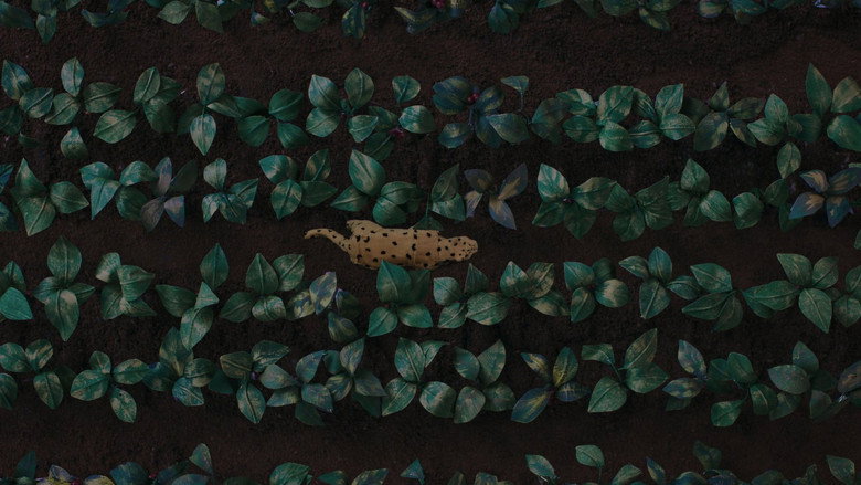 The Sound of the Jaguar backdrop 1