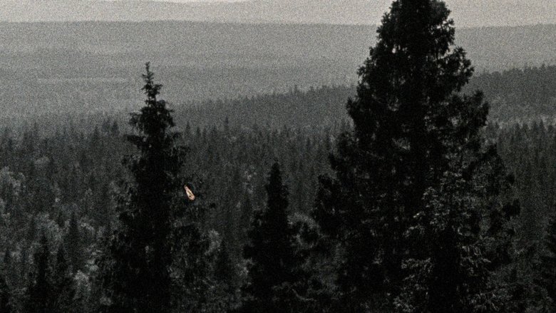 Anna Törrönen