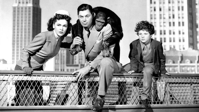 Tarzan's New York Adventure backdrop 2