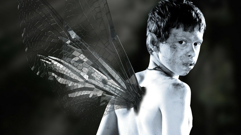 Fairycatcher backdrop 2