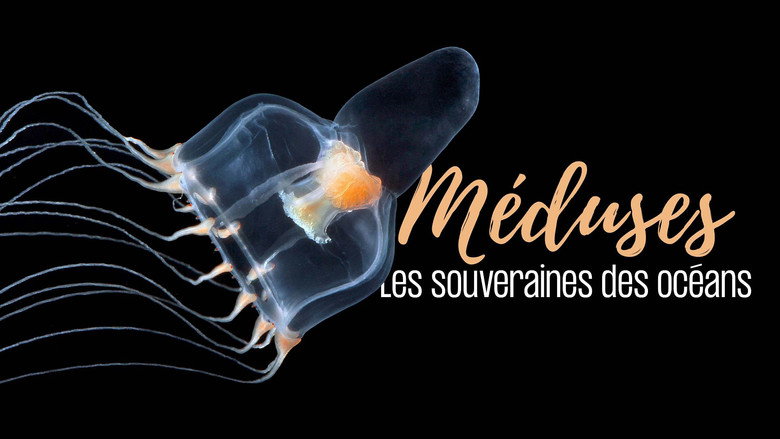 Jellyfish, The new Rulers of the Ocean backdrop 4