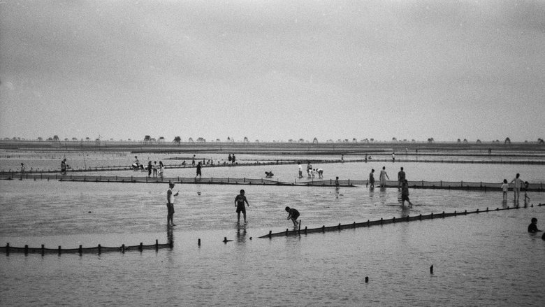 Trần Đăng Dương