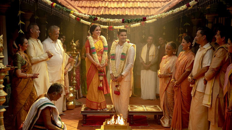 Meenakshi Sundareshwar backdrop 8