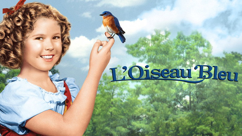 The Blue Bird backdrop 9