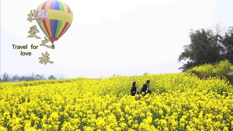 Travel For Love backdrop 3