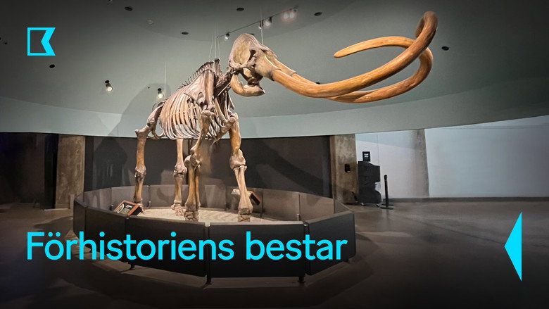 Lost Beasts Unearthed backdrop 4