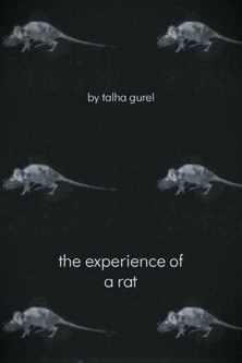The Experience of a Rat