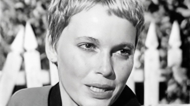 Episode #2.141 (pp-255)