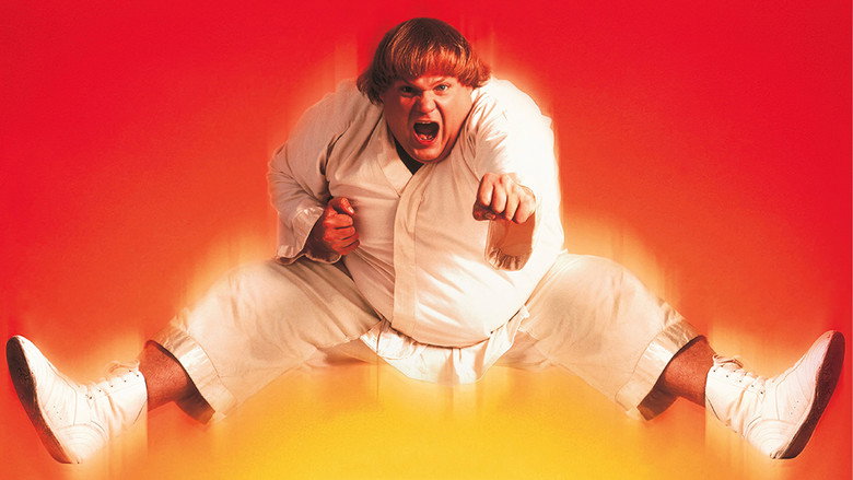 Beverly Hills Ninja backdrop 9