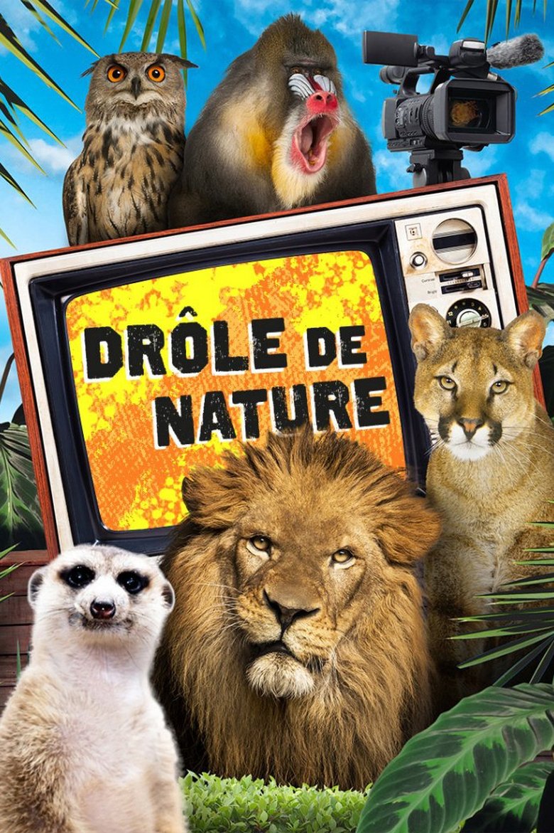 Show Poster