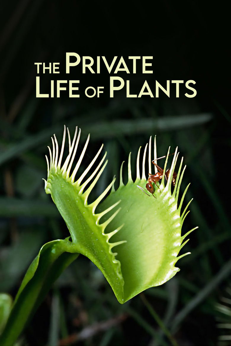 The Private Life of Plants